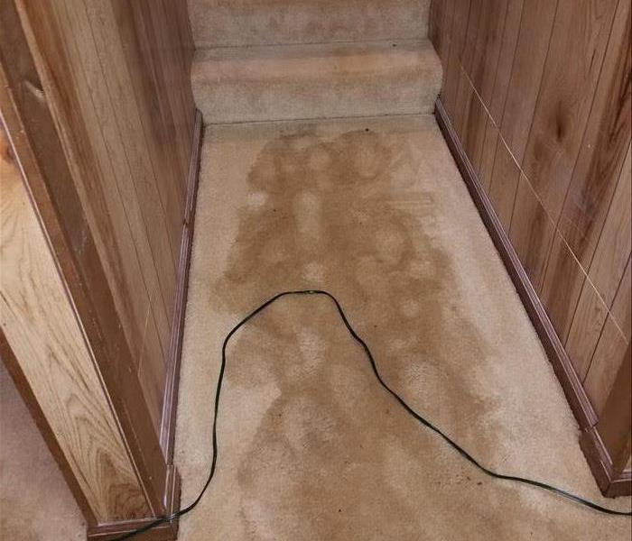 Dirty carpet caused from water damage