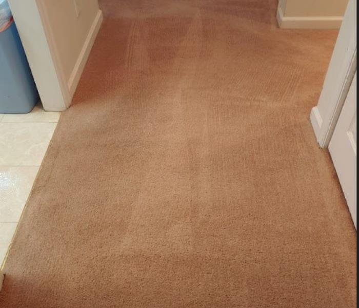 After photo shows Hallway with clean freshly groomed carpeting