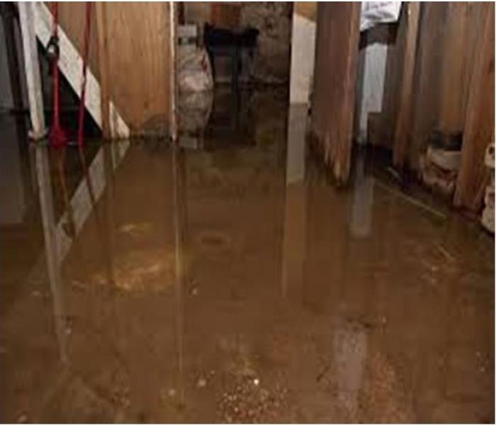 A home's basement flooded with muddy, silty water